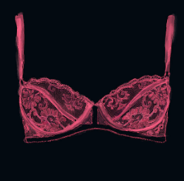 Lingerie-bra logo